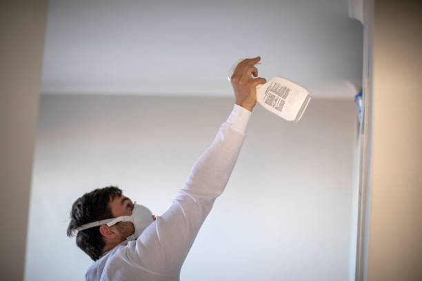 Reliable Downers Grove, IL Mold Removal Solutions