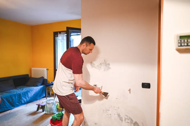 Best Mold Removal Near Me  in Downers Grove, IL